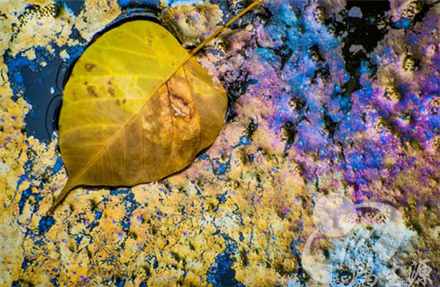 �q�西污惔产物处置利用获专家肯�?/></a> <a href=